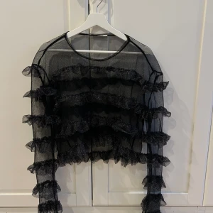 Svart transparent och glittrig topp till nyår från Zara - Snygg svart transparent topp från Zara med glittriga volangdetaljer. Perfekt för en trendig nyårs look. Toppen har långa ärmar och en rund halsringning.