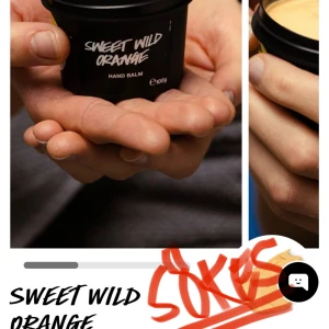 SWEET WILD ORANGE SÖKES - SÖKER DENNA, OANVÄND