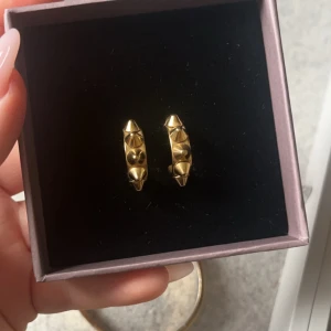 Guldörhängen med nitar - Snygga guldörhängen med en unik design av nitar. Perfekta för att ge en edgy touch till din stil. Kommer i en elegant presentask.