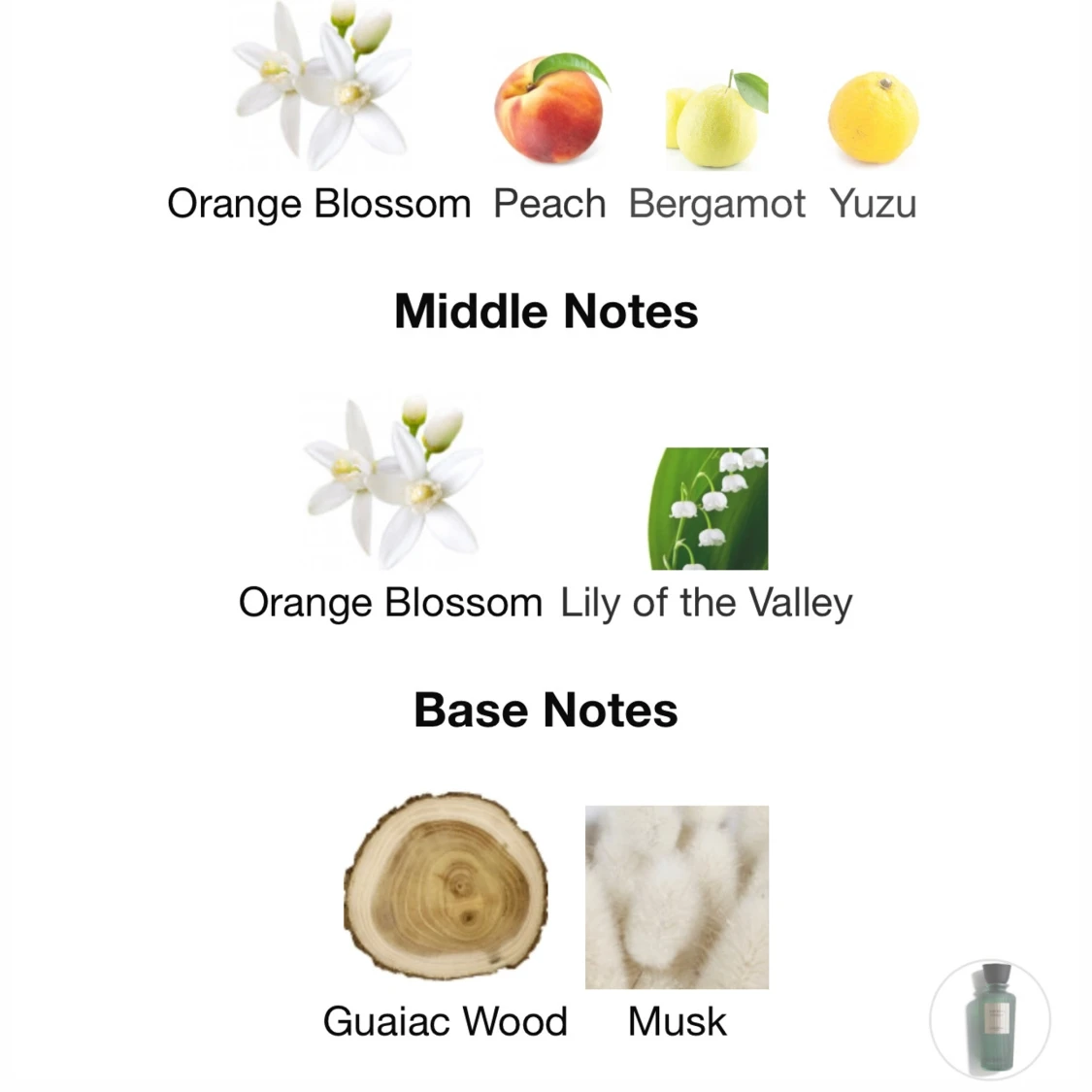 Orchid Valley från Laverne KSA - 93