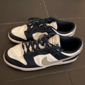 Nike Dunk i blått och vitt - Snygga Nike Dunk sneakers i blått och vitt med klassisk snörning. Perfekta för en sportig look. Strl 46. 