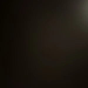 Böcker  - Alone with you in the eather, The Virgin suicides, Beautiful world where are you, The perks of being a wallflower