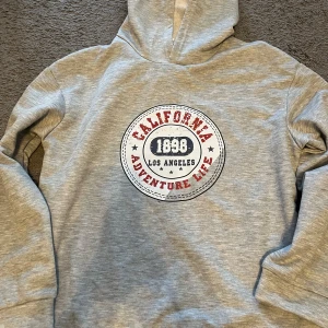 Grå hoodie - Säljer en tunn grå hoodie med ett coolt tryck på framsidan. Den är perfekt för en avslappnad stil och har en skön passform med långa ärmar. Helt ny aldrig använd.