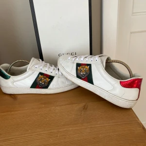 Gucci ace skor - Tja säljer dessa Gucci ace skor i relativt bra skick skulle säga 7,5/10 men de går lätt att höja de. Storleken är 43 och passar många däromkrig. Pris går att diskutera. Box medkommer men har tyvärr ej dustbag. Bara att höra av sig vid fler frågor.