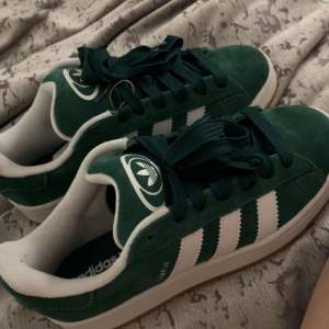 Säljer dessa mörkgröna adidas campus skorna som är köpta i London i april! (BILDEN ÄR FRÅN NÄR DE VAR HELT NYA) skriv för fler bilder. Passar 38/39, högsta bud 520 just nu