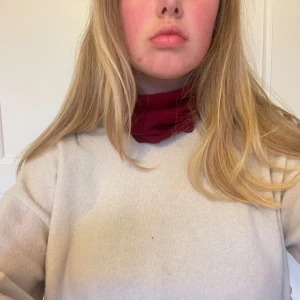 Kashmir buff - Kashmir buff