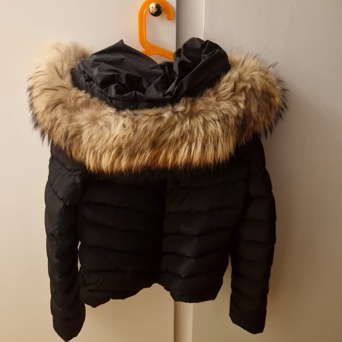 Hollies Jack st. 36 - 93