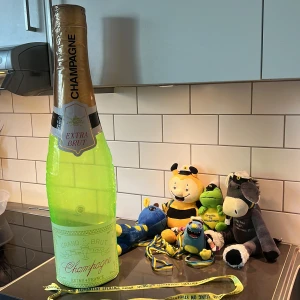 Student prylar 7 olika artiklar se på bilden allt säljer samtidigt  - Student prylar med  champagneflaska i plas, märkt med 'Extra Brut'. Med 5 olika figurer med student texter mycket bra skick som ny .  