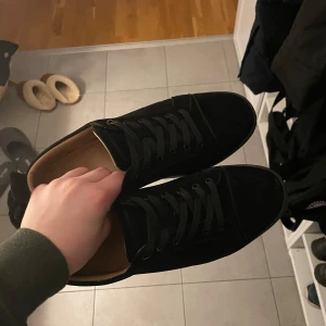 Loubs - Säljer Loubs för att de inte används så mycket längre. Inte fel på skorna. Skriv till mig om ni undrar något eller vi ha mer bilder