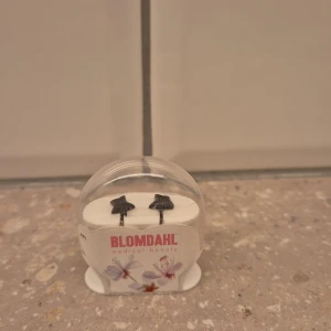 Svarta stjärnformade örhängen från Blomdahl - Snygga svarta stjärnformade örhängen från Blomdahl. Perfekta till både fest och vardag.