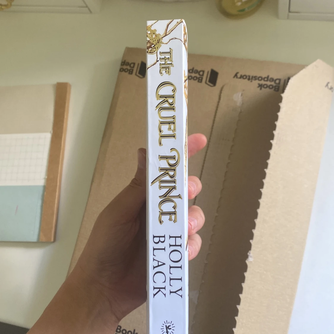 The cruel prince  - 91