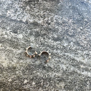 Edblad byter  - Byter endast populära örhengen från Edblad så fina