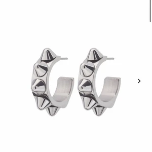 Örhängen Edblad  - Säljer dessa snygga örhängen från Edblad då dem tyvärr inte kommer till användning.  Köparen står för frakt❤️