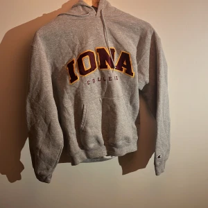 Champion collage Hoodie i smal, grå - Champion, collage hoodie, storlek smal, grå