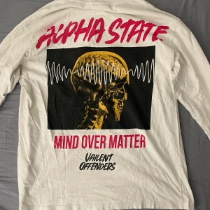 Tröja Valient, Carlings - Tröja från Valient, Carlings, i storlek L. Säljer mina kläder för att garderoben börjar bli för stor. Tröjan är i mycket gott skick. Säljes för 150kr. Fraktkostnad tillkommer. Kika i min profil för fler plagg :)