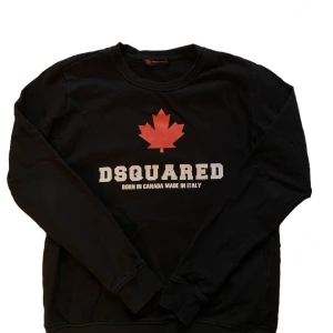 Dsquared sweatshirt - Dsquared sweatshirt, står ingen strl men skulle tippa på s-m. Köparen står för frakten.