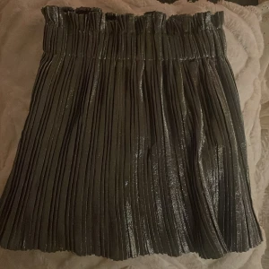Fin glitter kjol - En superfin fest kjol från zara men som också kan användas till vardags. Fin nu till hösten och nyår😍 Bra skick,inga hål eller slitningar 