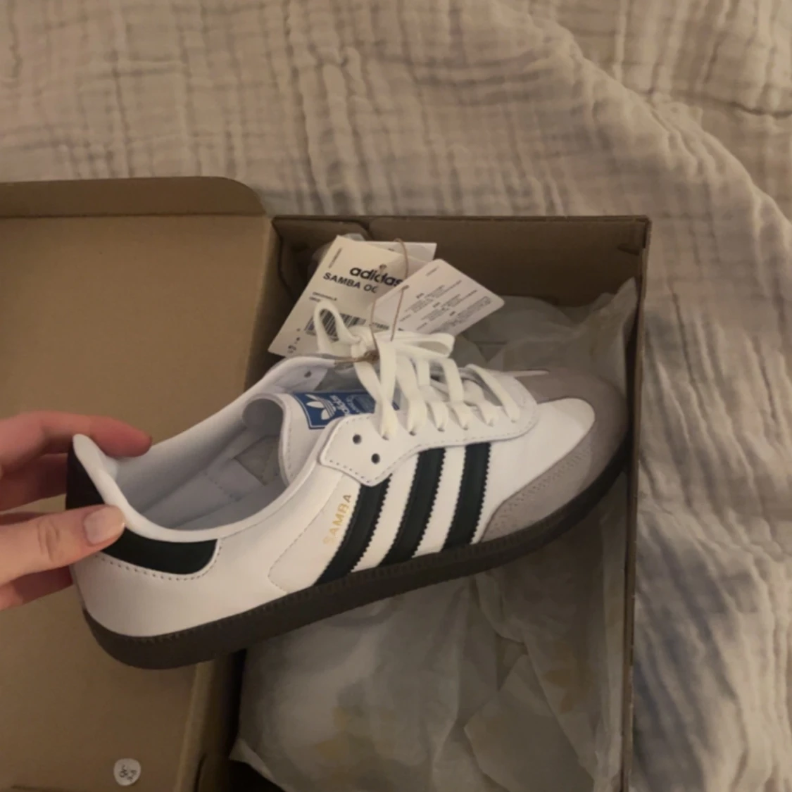 Sambas - 90