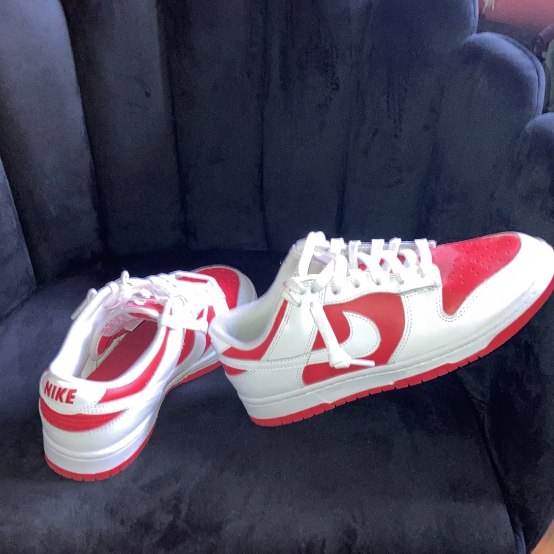 Nike dunk low retro 
