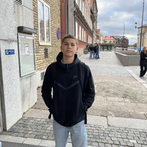 Alvinras - Ovanlig apa säljes för billigt. Hittad i Amazonas skogarna. Den är den ovanlig typen Alvinras. Han är rumsren och lydig. Inte lärt sig svenska än men kan teckenspråk. 