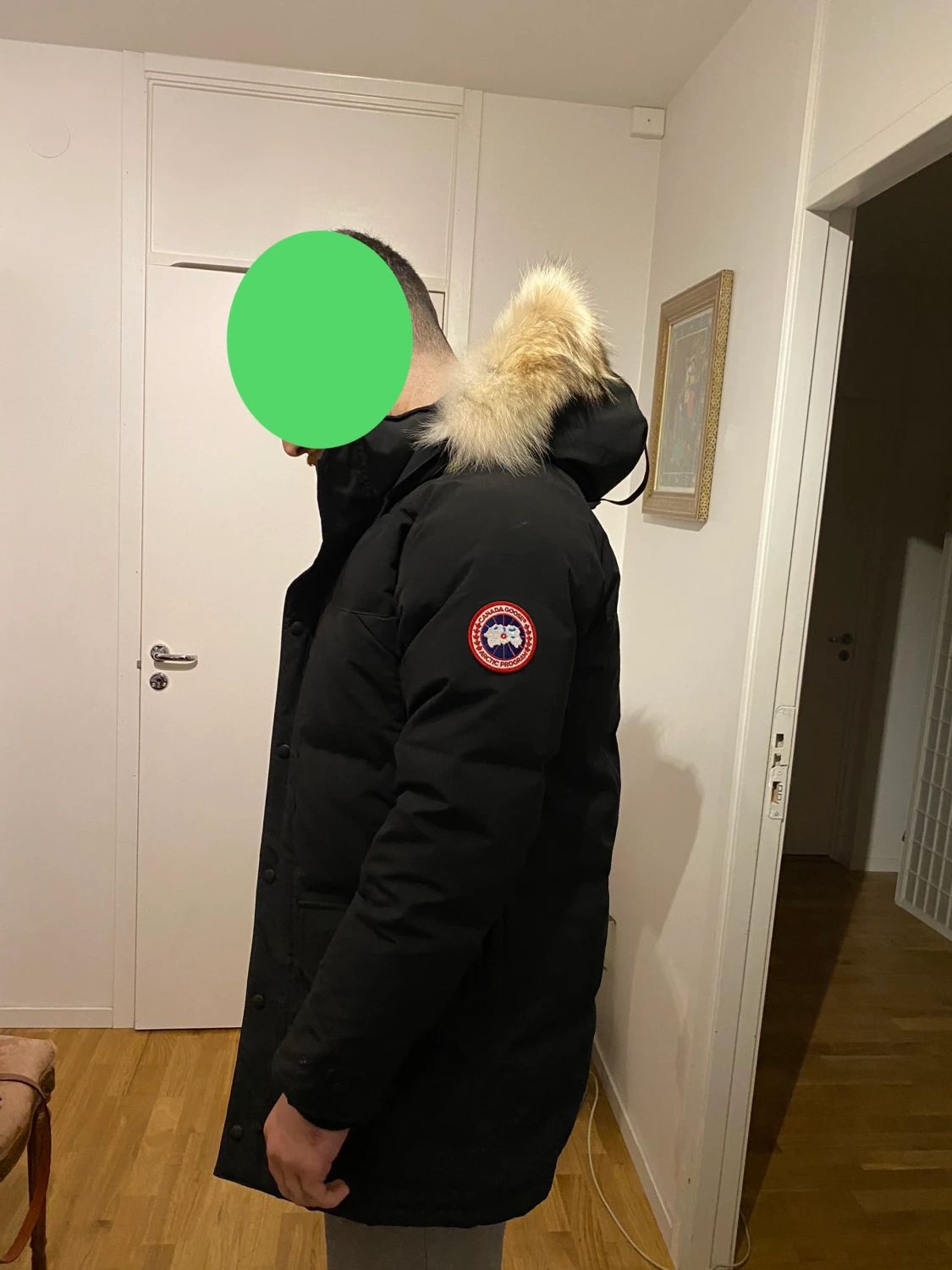 Canada goose M - 90