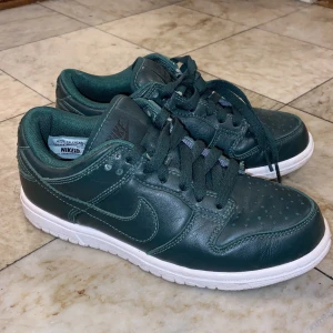 Kattiga gröna nikes 😎🦖 - cond 7/10, köpta för något år sedan och har ej kvar lådan tyvärr </3 