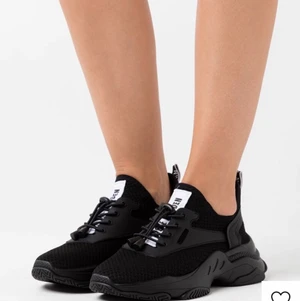 Steve madden - Säljer mina svarta Steve madden skor pga kommer inte till användning. Köpa för 1000 ungefär. Dom är knappt använda kanske använda 10 ggr. Inget fel på dom kommer bara inte till användning tyvärrr. 