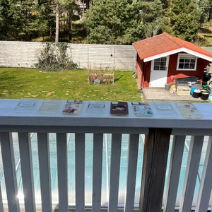 Säljer mobil skal❤️  - Använt få gånger❤️ Inga repor eller märken😽 Beroende på vilket skal så är det olika pris❤️ Skriv till mig vilket du är intresserad av☺️💗 Frakt får man betala själv❤️ Betala med swich💖💖