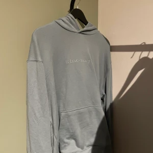 Hoodie - Hoodie från zara fint skick 