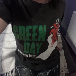 Green Day bandtröja - Green Day tröja med tryck från deras album American idiot. Köptes i Spanien för flera år sen men knappast använd. Tunt och skönt tyg. Skickas eller möts upp i Sundsvall!