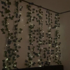 Murgröna och ljusslinga - Säljer jätte fina plast murgröna och ljus slingor (man kan köpa separat)ungefär 12 st murgröna slingor☺️nästan helt ny 💘