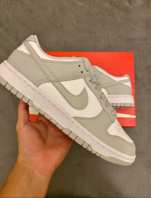 Nike Dunk Low Retro - Storlek 43 Skick 10/10 Bara skriva om du funderingar😁