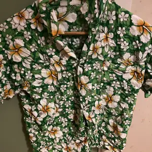  Aloha shirt 