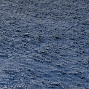 LinneKjol hm - Svart linnekjol med slits, figursydd