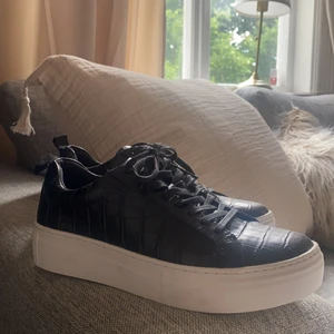 Vagabond skor - Skorna är enbart testade och aldrig använts ute. Frakt går att diskuteras! 