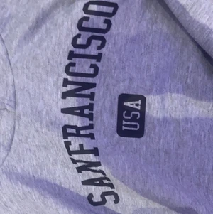 Hoodie - Denna hoodien är i bra skick jag har andvänt den några gånger den kostade 110 men jag säljer den för 80 kr ganska tunt matrial 