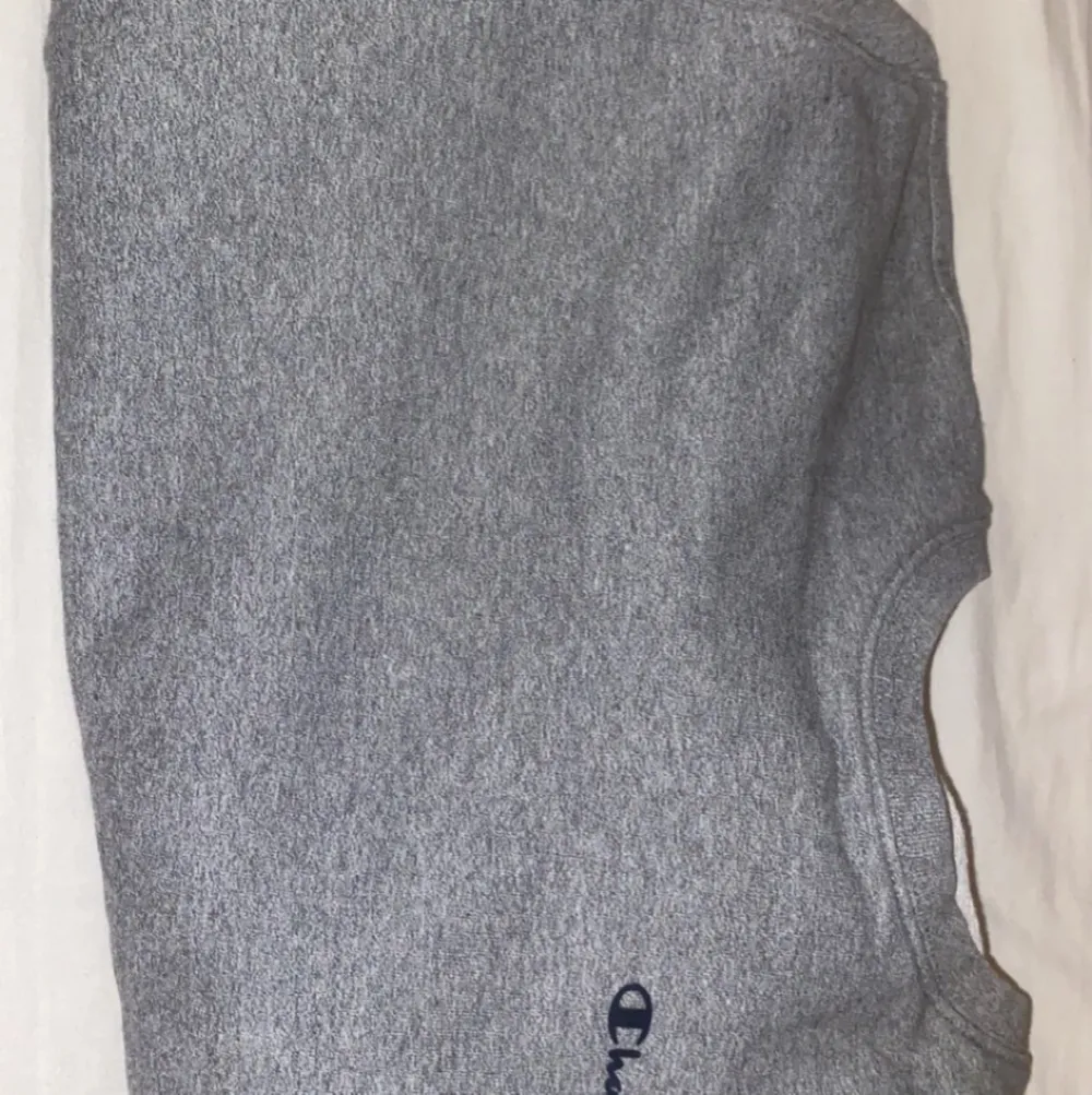 Jättefin grå sweatshirt från champion. Inte använt så mycket men har växt ur den. Nypris 400 . Tröjor & Koftor.