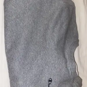 Jättefin grå sweatshirt från champion. Inte använt så mycket men har växt ur den. Nypris 400 