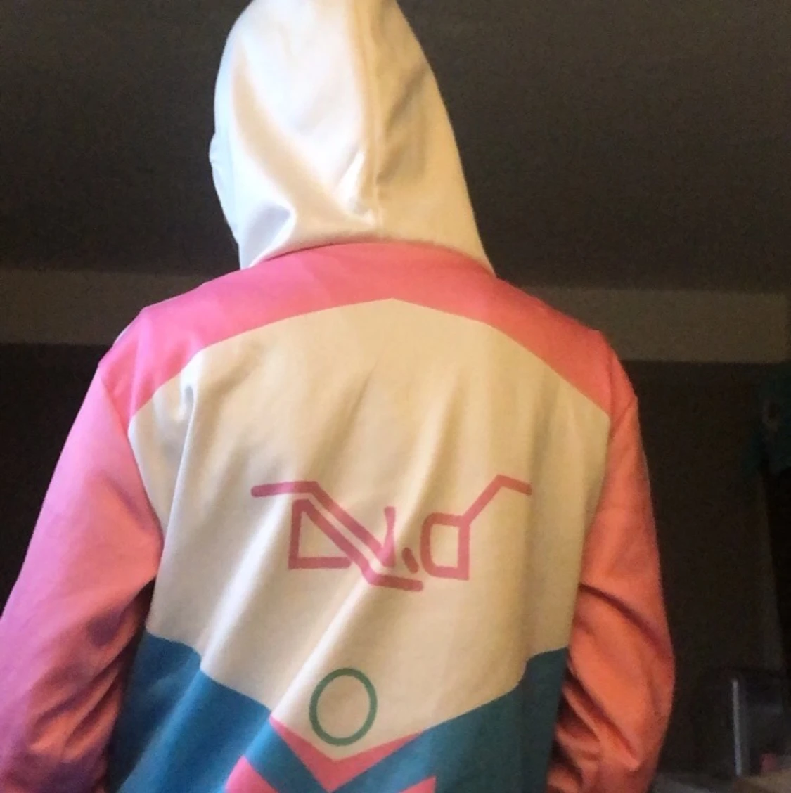 D.VA hoodie  - 90