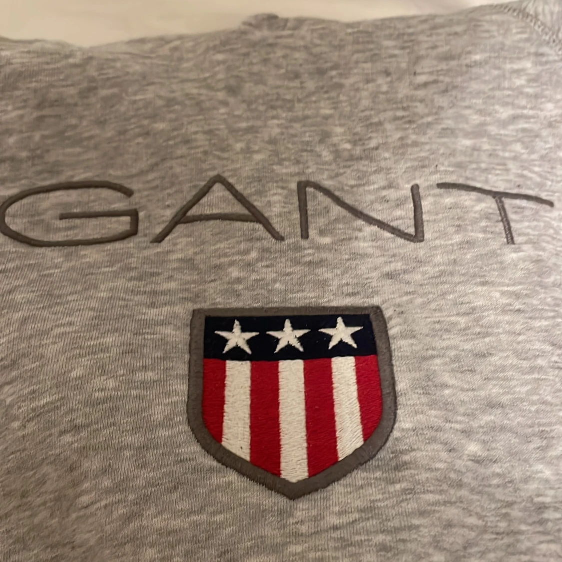 Gant hoodie  - 91