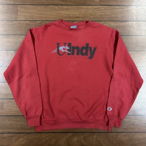Champion Ulndy Sweatshirt  - Snygg vintage sweatshirt från champion i storlek M! Bara att skriva om du undrar över något🙏