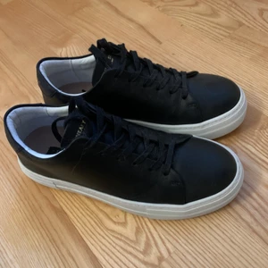 Sneaky Steve svarta skor - Nyskick 10/10 använda en gång. Förstora för mig. Storlek 38. Riktigt fin sko. Nypris 1000kr. 