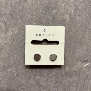 Örhängen  - Silvriga örhängen från Edblad i gott skick