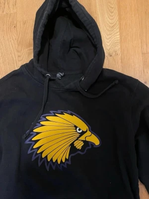 Svart hoodie med gul örntryck stl M bra skick - Säljer en svart hoodie med stor gul och lila örn på bröstet. Hoodien har huva med dragsko och en klassisk magficka framtill. Perfekt för dig som gillar sportig och street-inspirerad stil. Materialet känns mjukt och bekvämt.