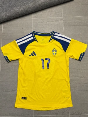 Sverige fotbollströja VM - Sverige fotbollströja VM 2026 med Gyökeres på ryggen🌟Playerversion. Använd typ 4 gånger så i mycket bra skick. Storlek S. 