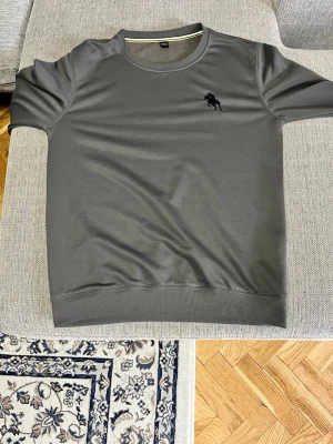 Mörkgrå t-shirt med broderad detalj - Snygg mörkgrå t-shirt med rund halsringning och en liten broderad detalj på bröstet. T-shirten har korta ärmar och är tillverkad i ett mjukt material som känns skönt mot huden. Perfekt för en avslappnad och stilren look.