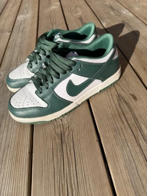 Nike Dunk Low Michigan green - Säljer just nu ett par Nike dunk low Michigan green eftersom den har blivit för små! Ingen box har jag kvar och storleken på skon är 39