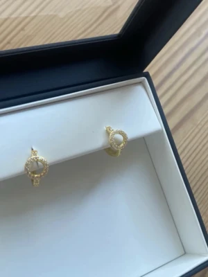 Örhängen  - Snygga örhängen, helt använda i orginalförpackning. Designen är elegant med små detaljer runt cirkeln som ger ett lyxigt intryck. Perfekta för att lyfta vilken outfit som helst.