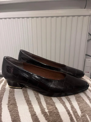 Bruna pumps med låg klack och crocomönster - Säljer ett par bruna pumps med låg, bred klack och crocomönstrad yta i glansigt material. Fint skick! Skorna har en klassisk, spetsig tå och gulddetalj på klacken. 