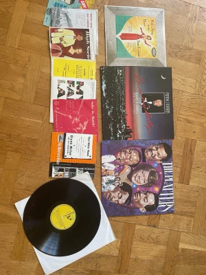 Samling vinylskivor och LP-omslag - Säljer en blandad samling vinylskivor och LP-omslag med olika artister och genrer. Bland annat syns skivor med The Platters, Frank Sinatra och Jane Froman. Omslagen har färgstarka motiv och klassisk retrostil. Perfekt för dig som gillar musik på vinyl och vill utöka din samling.